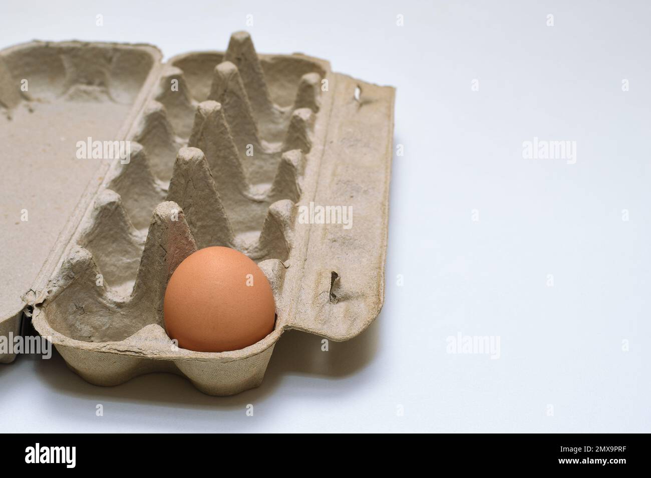 A single chicken egg in an open light brown cardboard, dozen egg carton