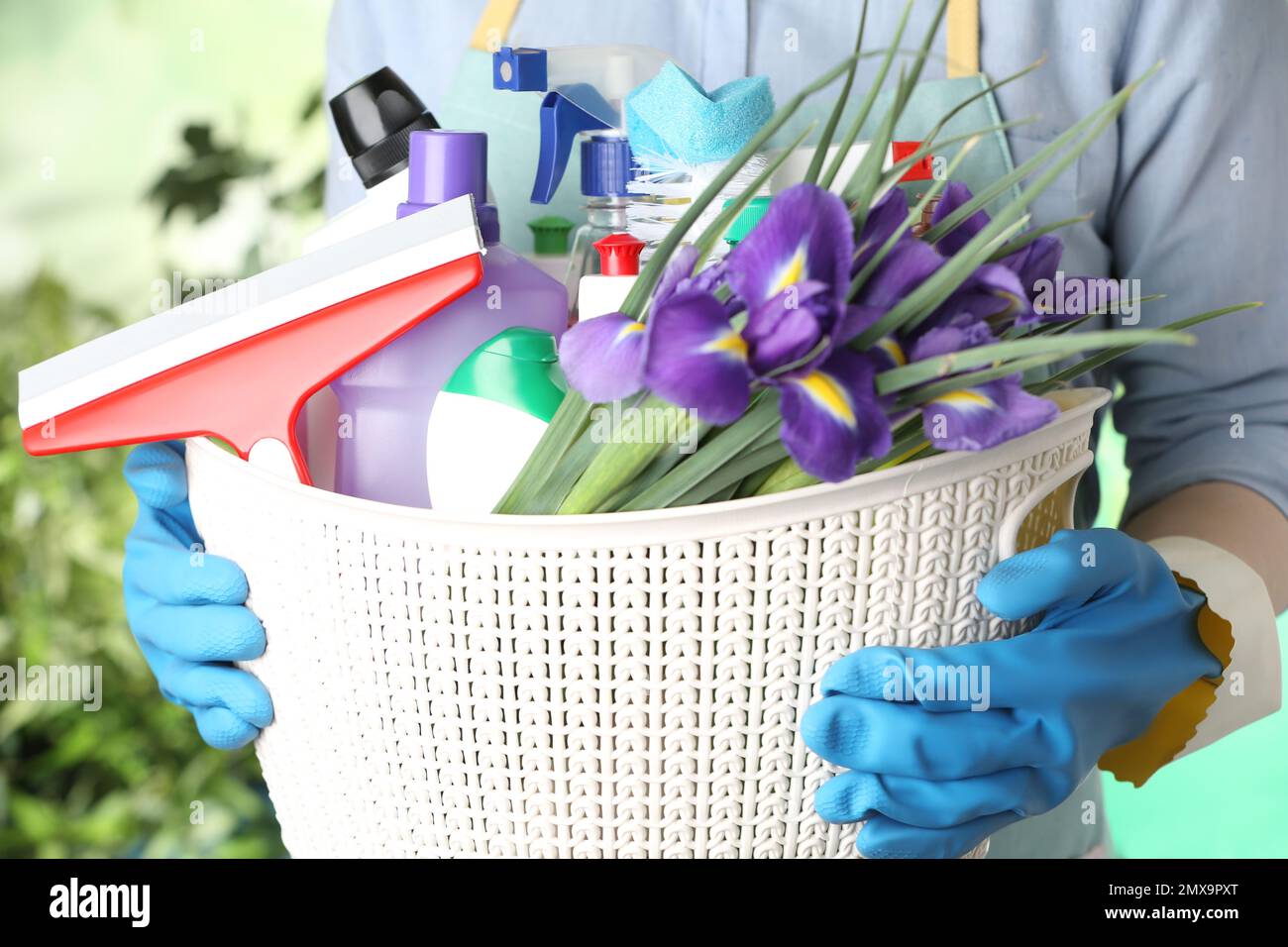 Woman holding basket with spring flowers and cleaning supplies on green blurred background, closeup Stock Photo