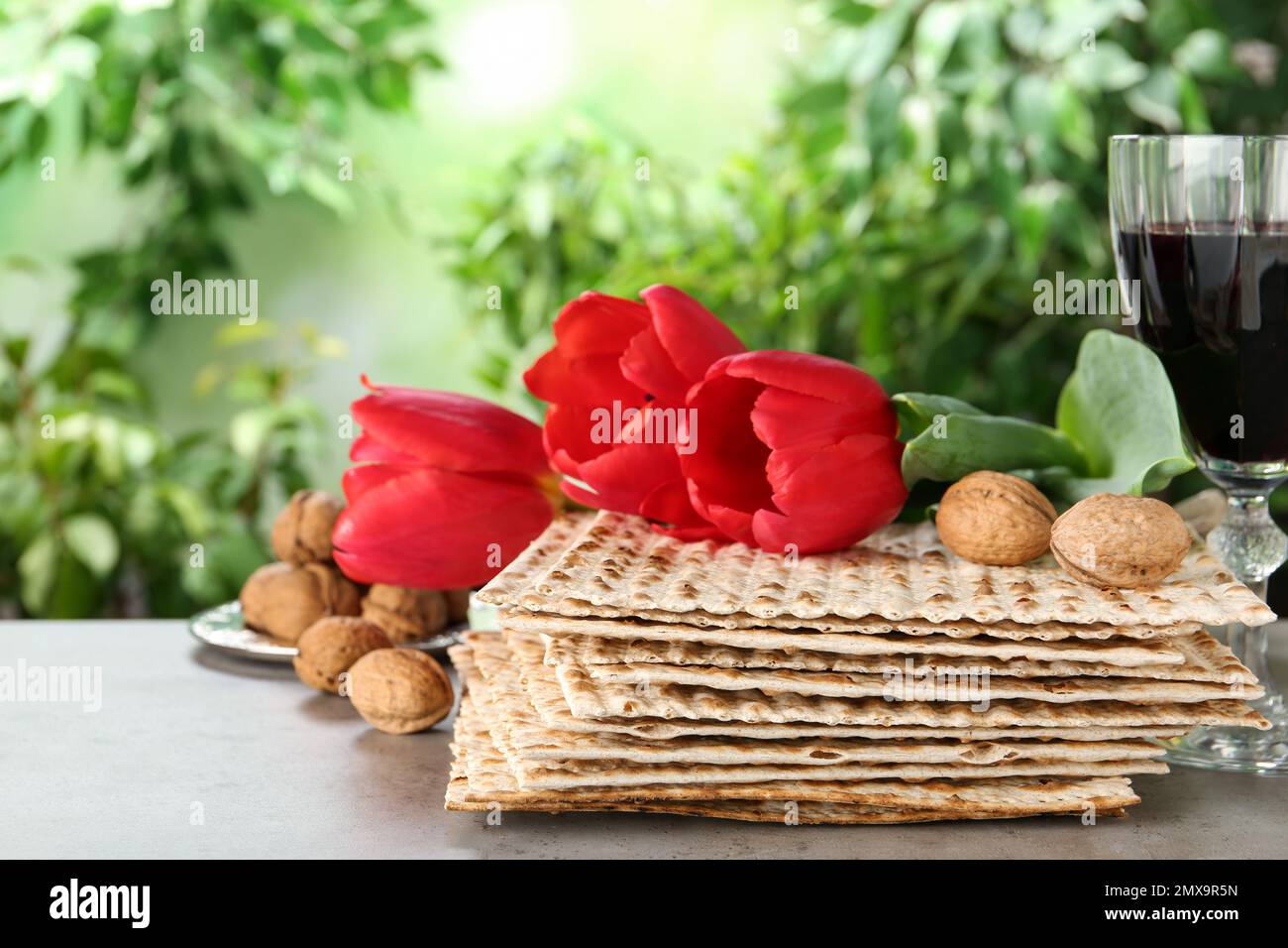 Traditional Matzos and tulips on grey table. Pesach (Passover
