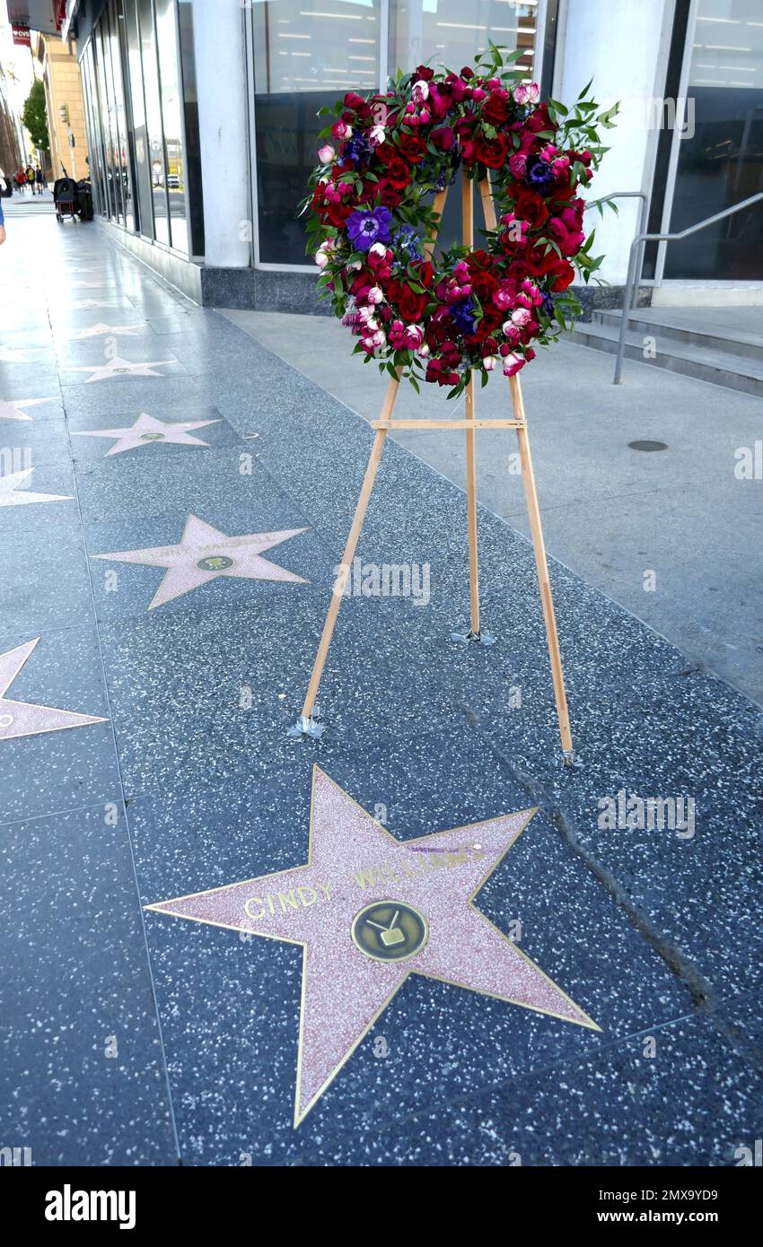 Los Angeles, California, USA 1st February 2023 A general view of atmosphere of Flowers on Actress Cindy Williams Hollywood Walk of Fame Star on February 1, 2023 in Los Angeles, California, USA. Photo by Barry King/Alamy Stock Photo Stock Photo