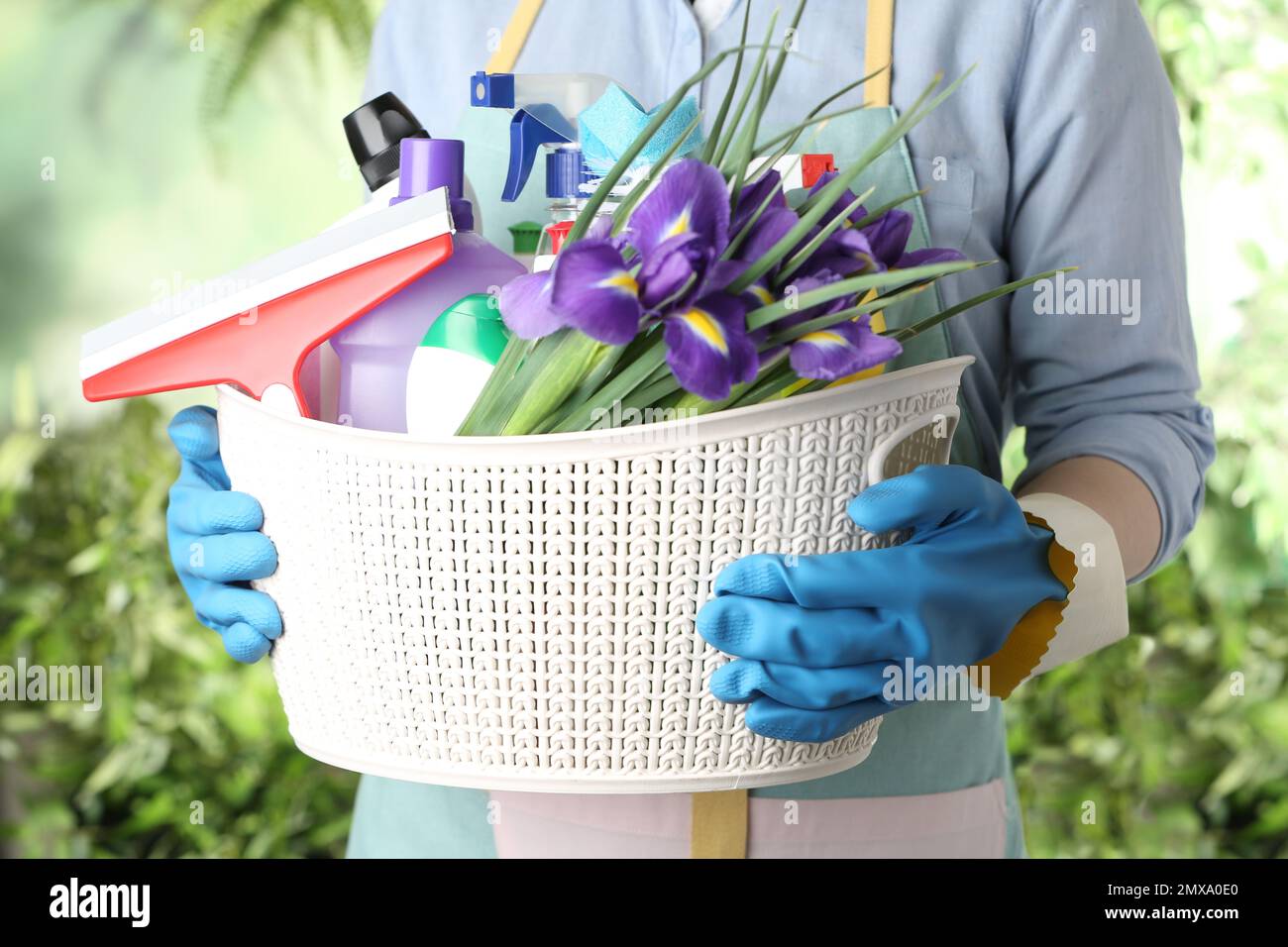 Woman holding basket with spring flowers and cleaning supplies on green blurred background, closeup Stock Photo