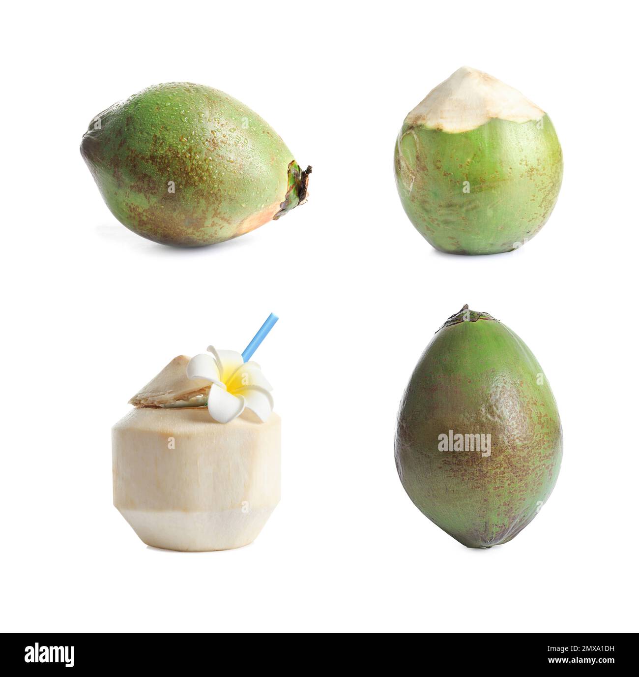 Set of ripe coconuts isolated on white Stock Photo