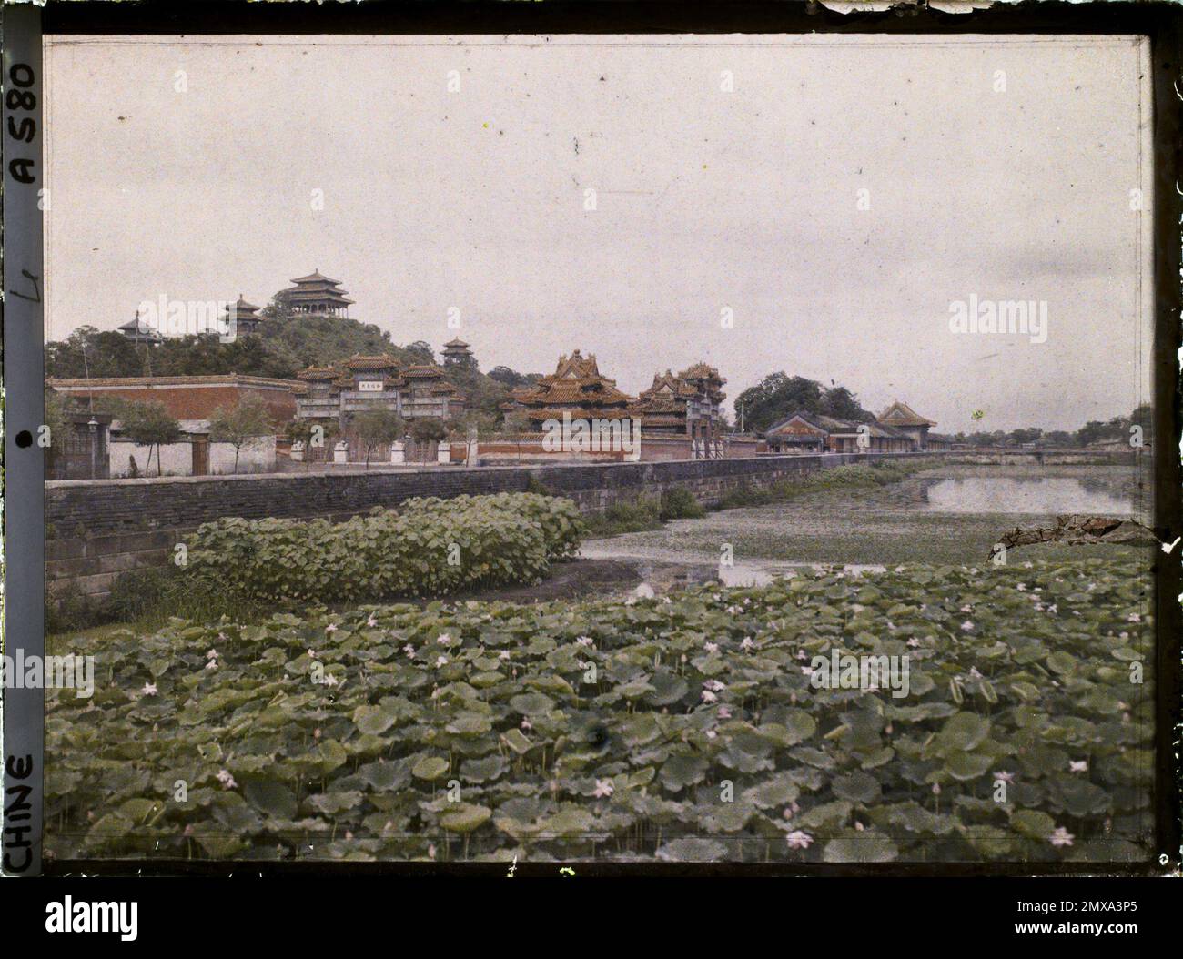 Taoism temple lotus exists high definition moat fortified archit hires