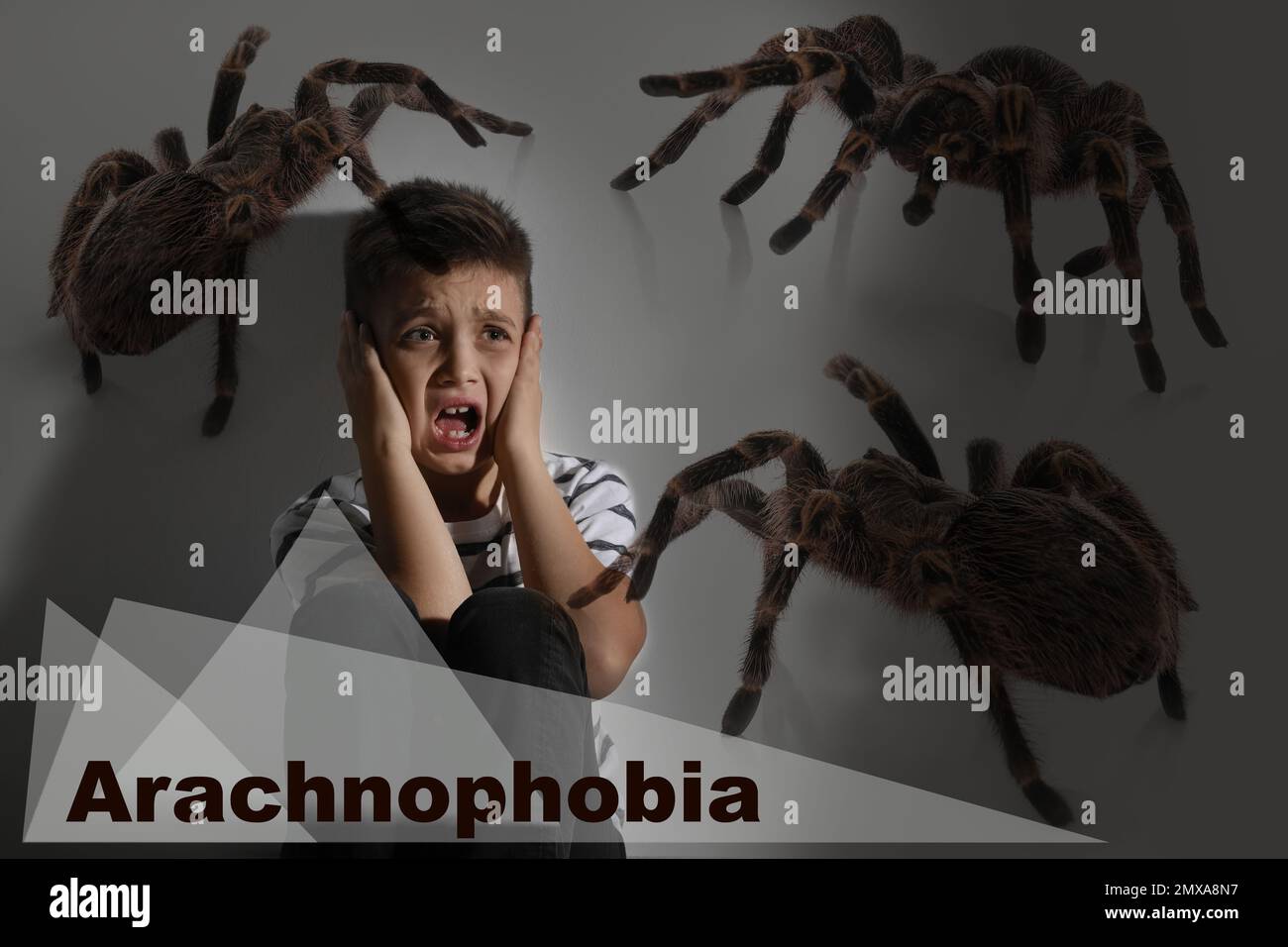 Arachnophobia concept. Double exposure of scared little boy and spiders ...