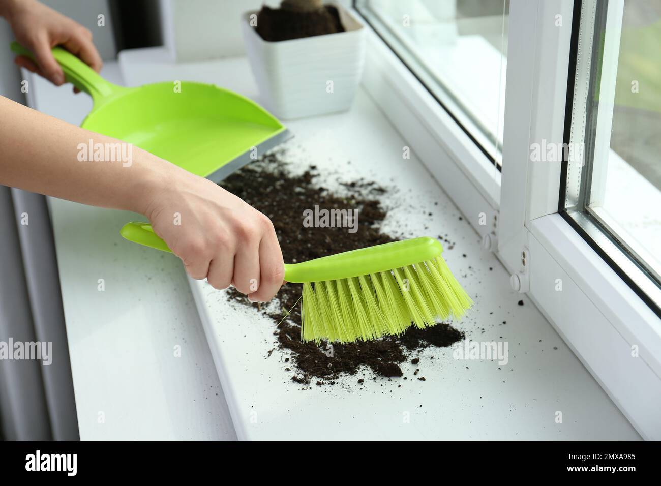 Woman cleaning window sill from soil at home, closeup Stock Photo - Alamy