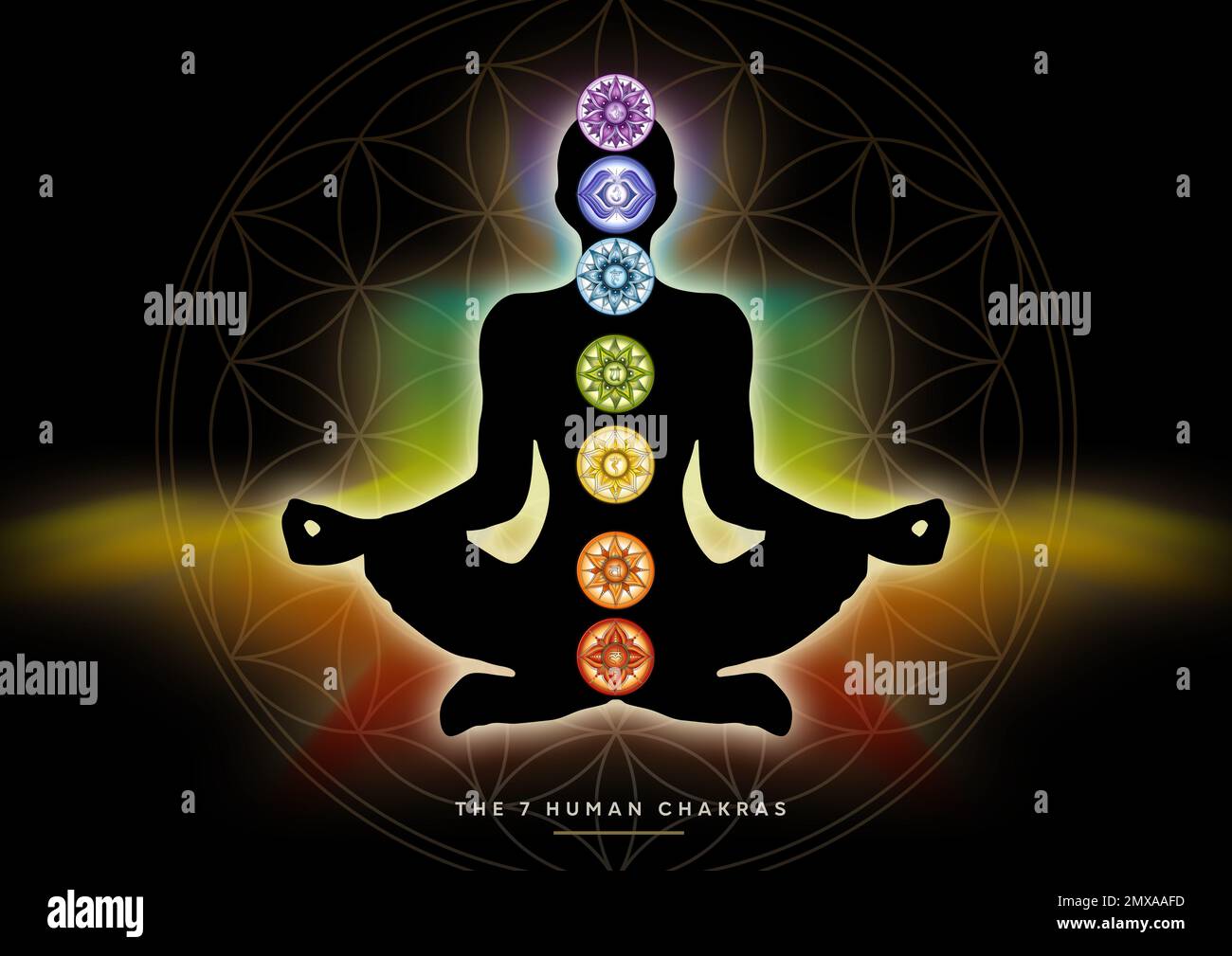 Human silhouette in yoga / lotus pose with 7 Chakras and Flower of Life. (Human energy body, aura, yoga lotus pose). Stock Photo