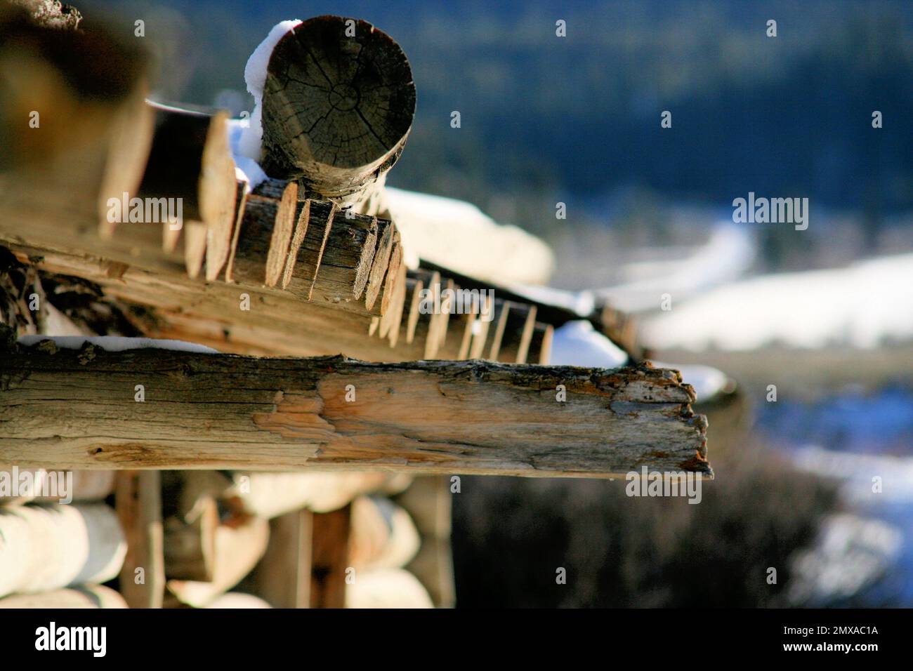 log cabin roof framing closeup winter Stock Photo Alamy