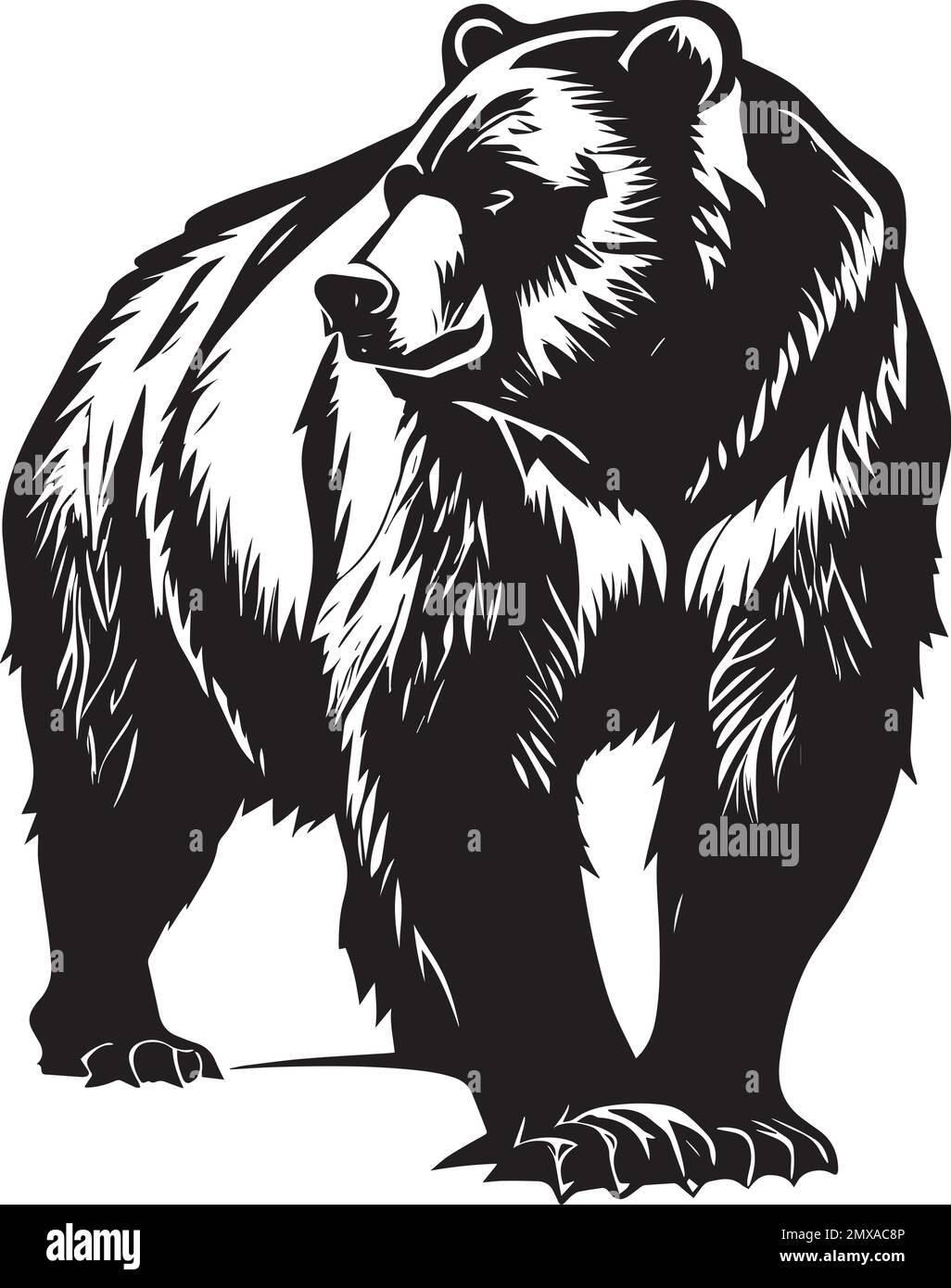 Grizzly bear environment Black and White Stock Photos & Images - Alamy