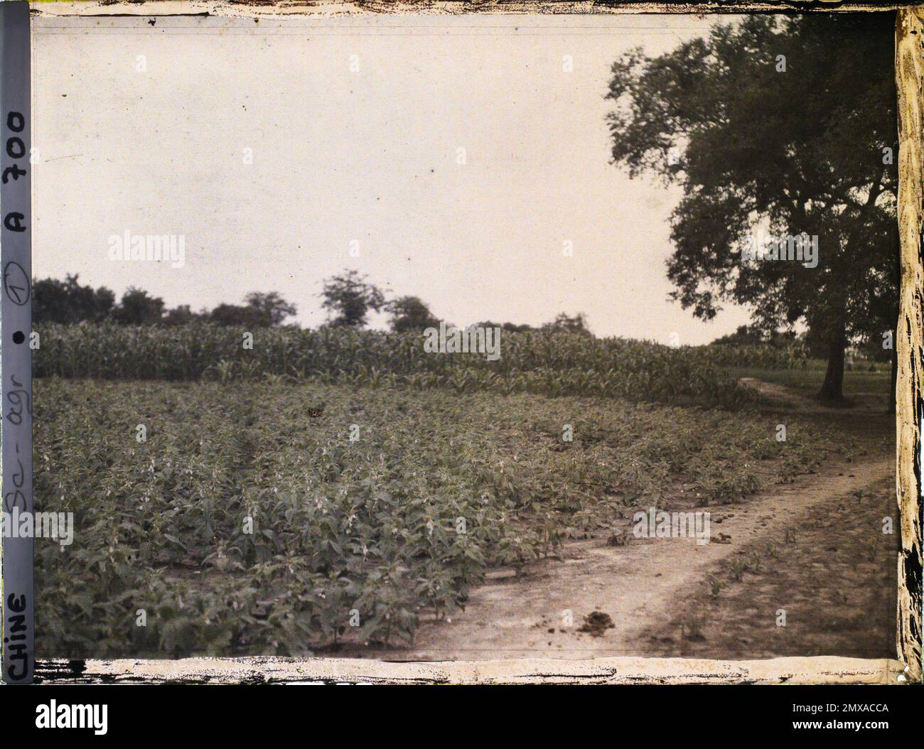 China probably in the western surroundings of Beijing. , 1912 - China ...