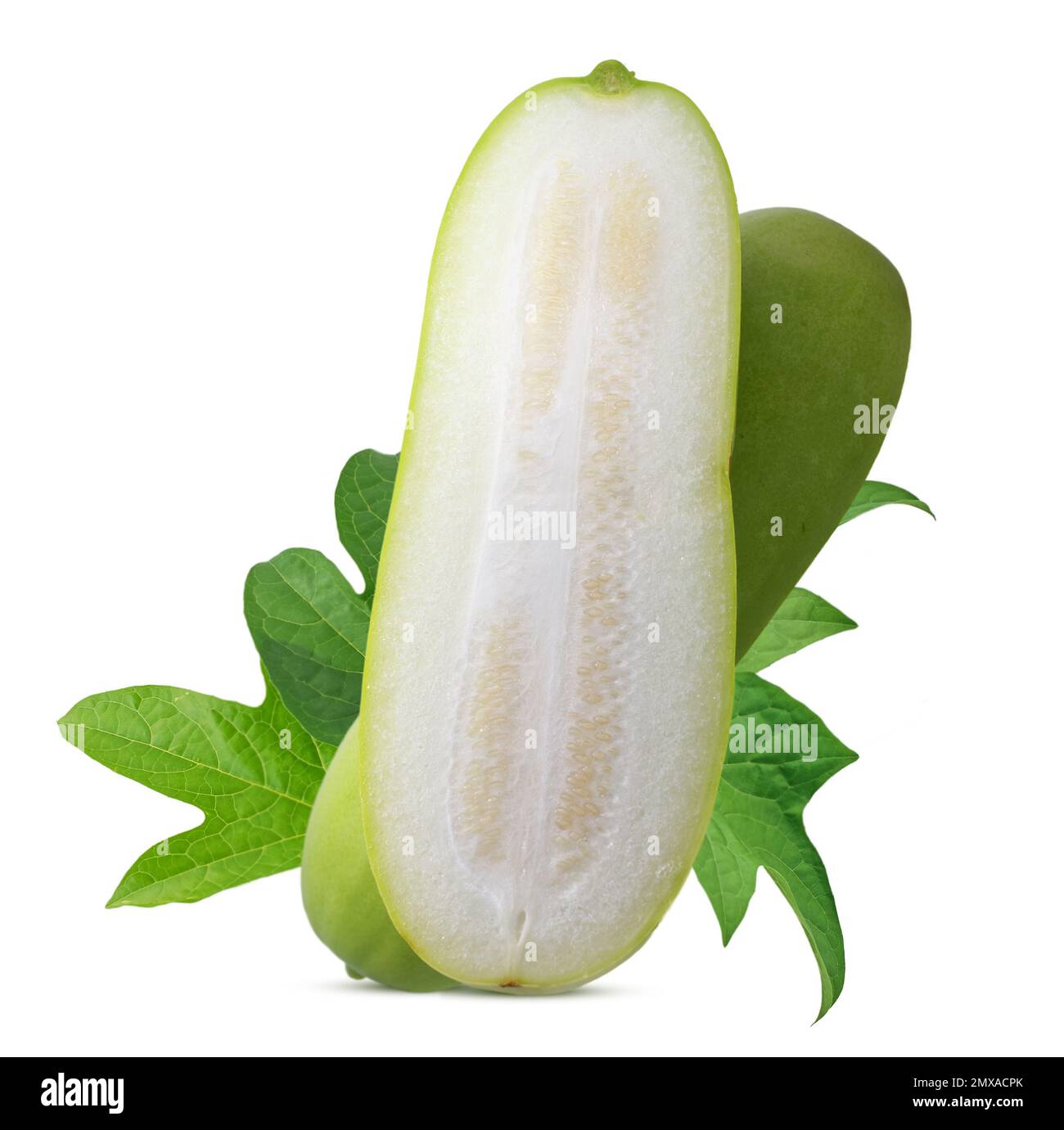 Wax Gourd isolated on white background Stock Photo Alamy