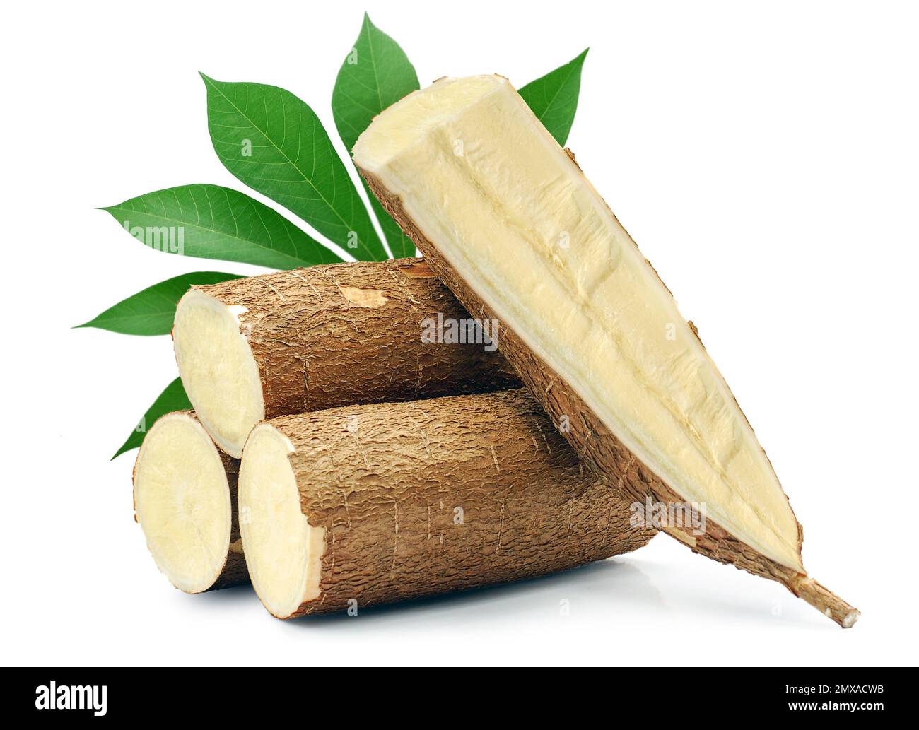 Cassava isolated on white background Stock Photo