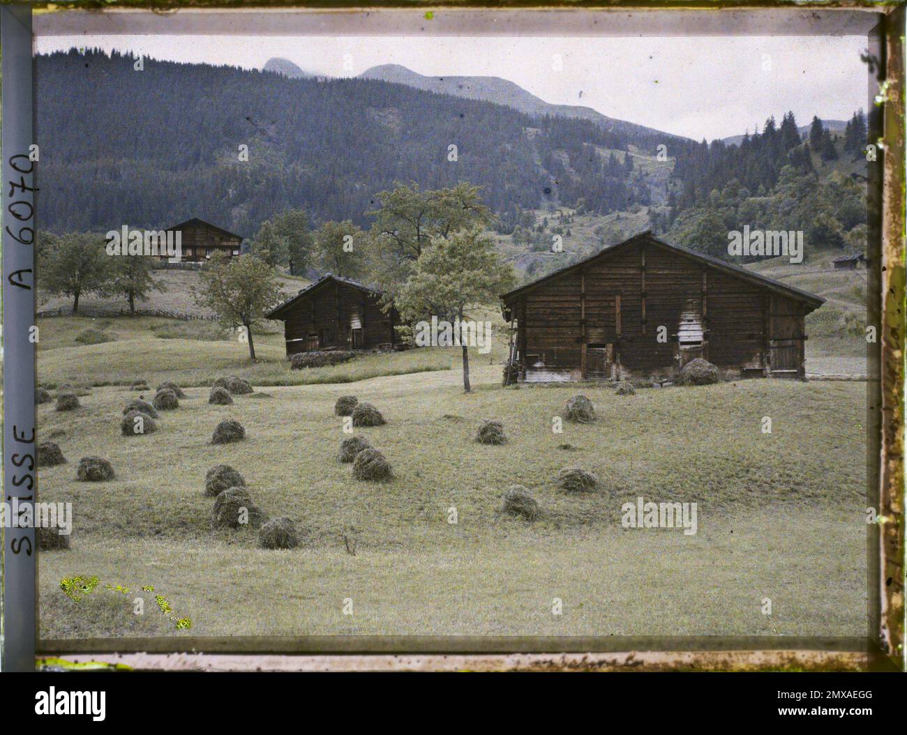 Grindelwald, Swiss chalets and hay grinds in Grindelwald , 1912