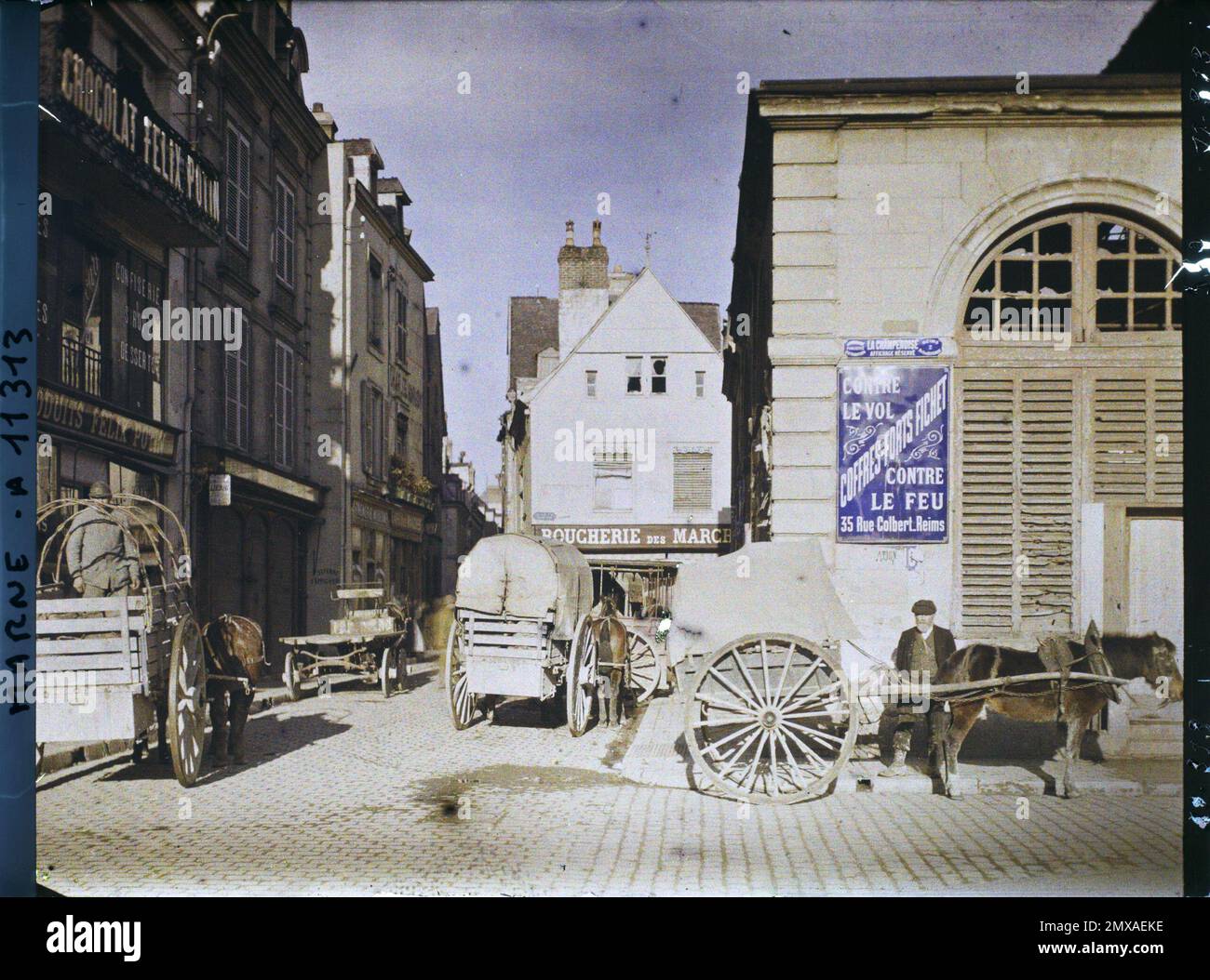 Advertising real animal market fair commercial registration car hi-res ...