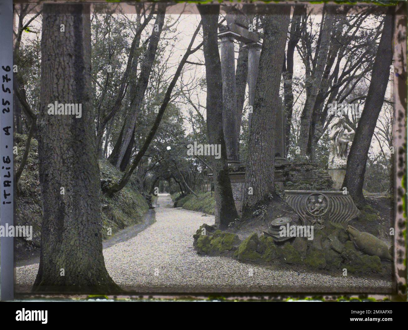 Statue botanical garden sculpture column art italy rome vatican hires stock photography and