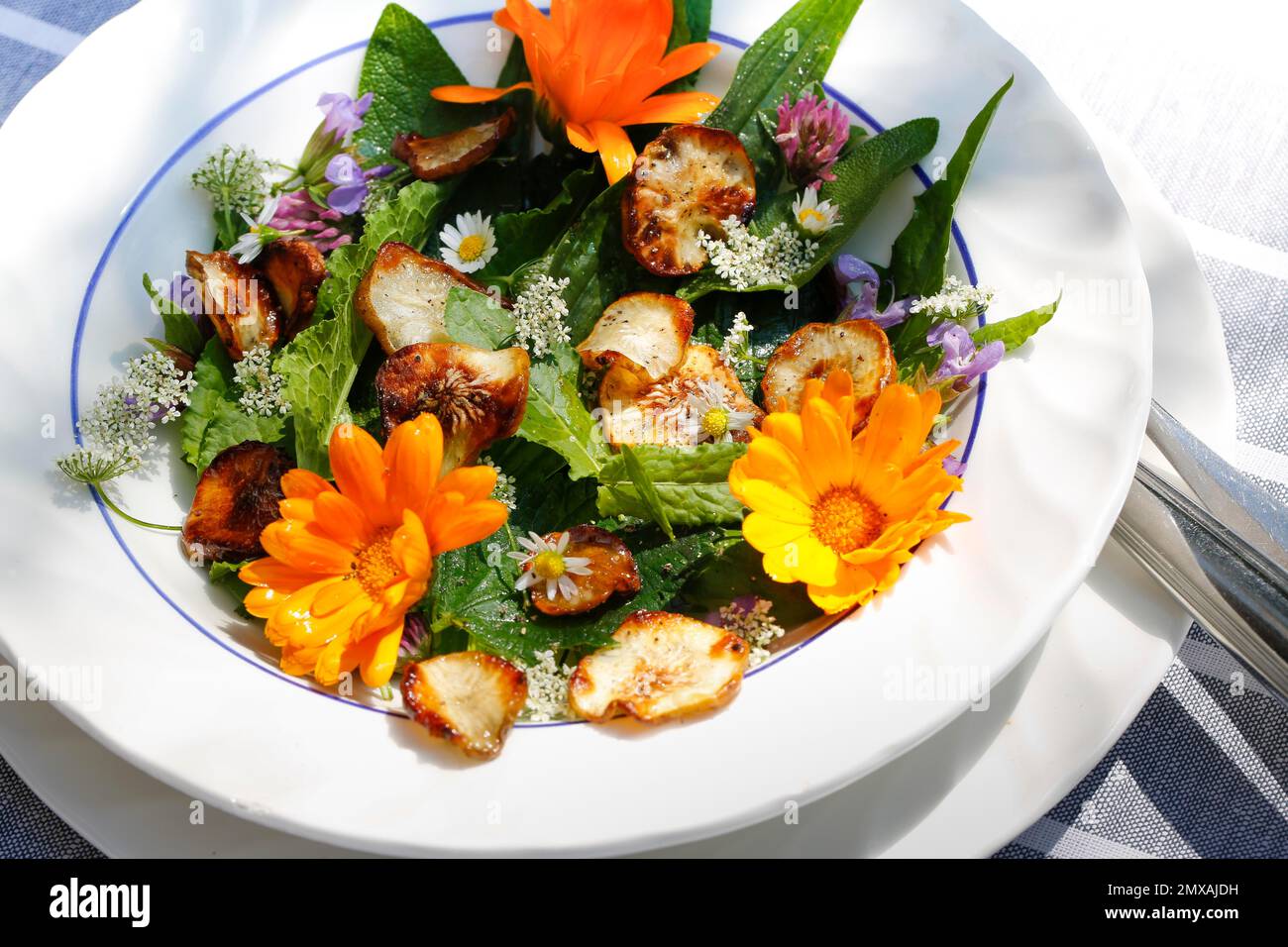 Baden cuisine, sauteed jerusalem artichoke (Helianthus tuberosus) on