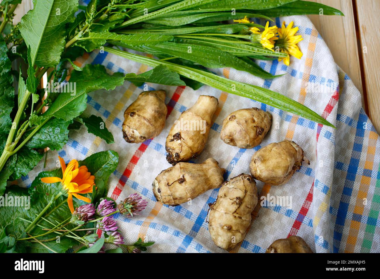 Baden cuisine, jerusalem artichoke (Helianthus tuberosus), earth apple