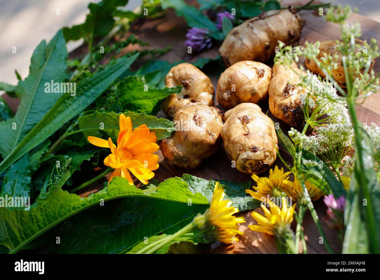 Baden cuisine, jerusalem artichoke (Helianthus tuberosus), earth apple