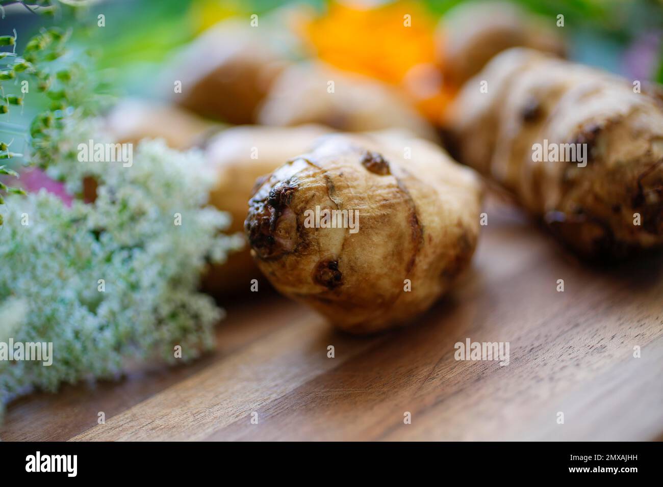 Baden cuisine, jerusalem artichoke (Helianthus tuberosus), earth apple