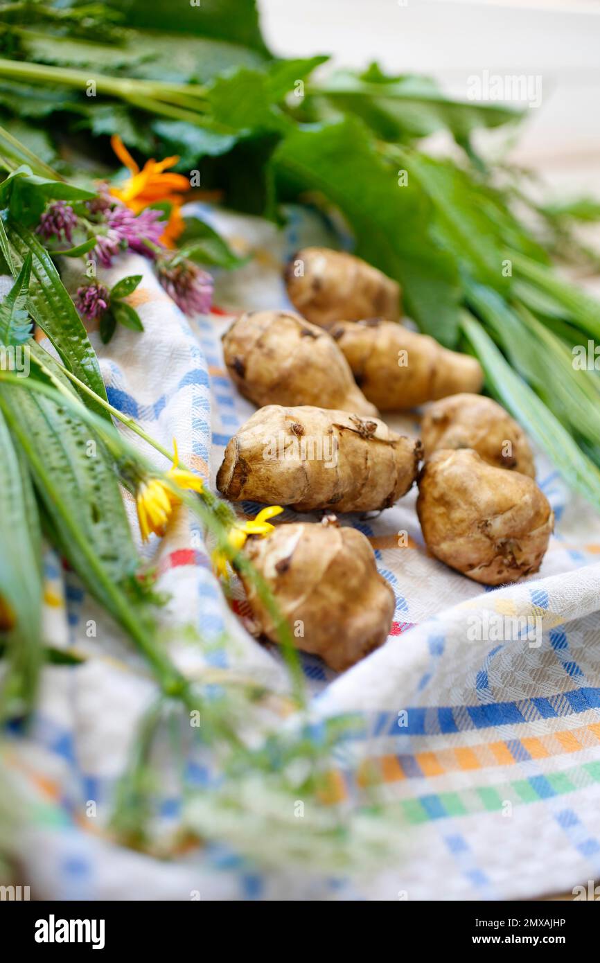 Baden cuisine, jerusalem artichoke (Helianthus tuberosus), earth apple