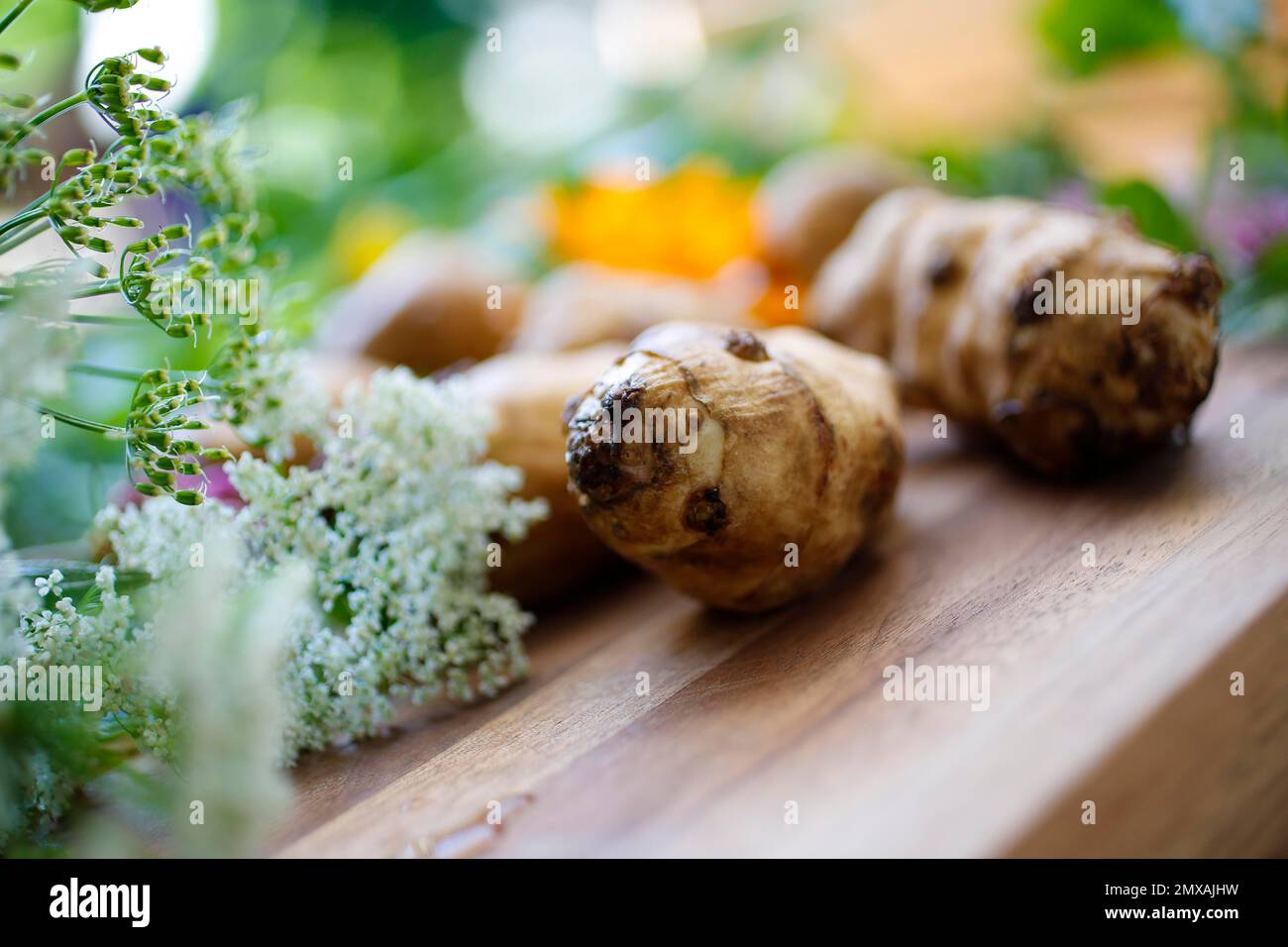 Baden cuisine, jerusalem artichoke (Helianthus tuberosus), earth apple