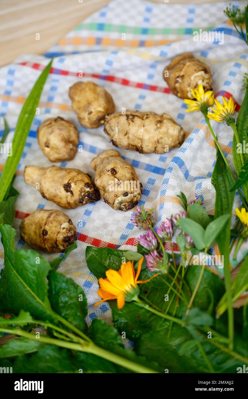 Baden cuisine, jerusalem artichoke (Helianthus tuberosus), earth apple