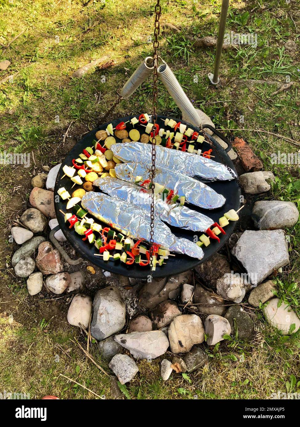 Vegetable skewers and fish wrapped in aluminium foil on a swivel grill over a barbecue fire, dinner, Germany Stock Photo
