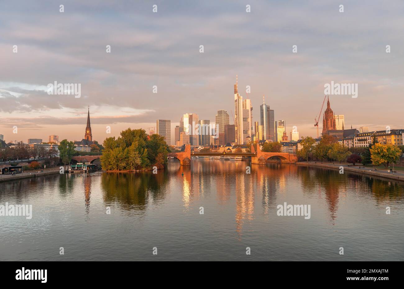 Skyline, skyscrapers in the banking district in the morning light, Old Bridge over the Main, sunrise, autumn, Frankfurt am Main, Hesse, Germany Stock Photo
