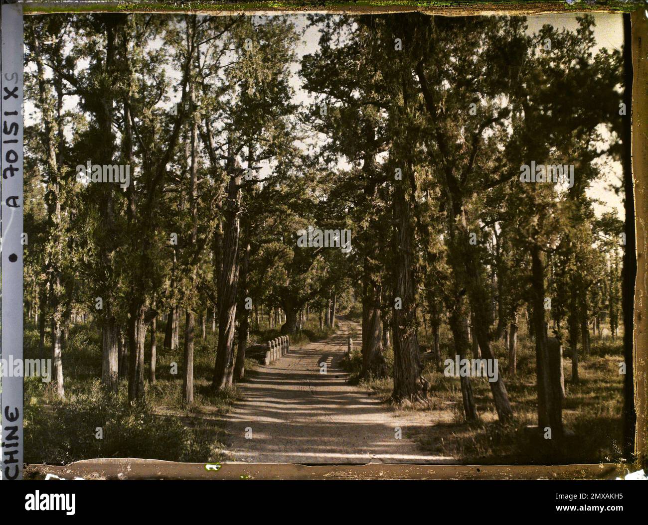 Tchoufou, China Konglin, the necropolis of the Confucius family , 1912 ...