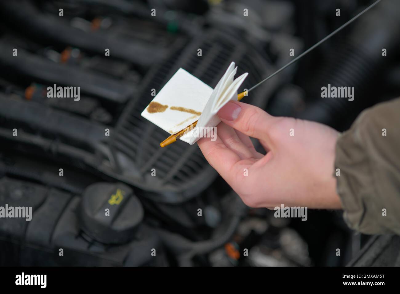Check oil level, engine compartment, car Stock Photo Alamy