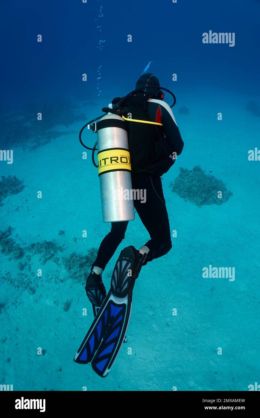 Diver, loose scuba, Nitrox, Port Safaga, Red Sea, Egypt Stock Photo
