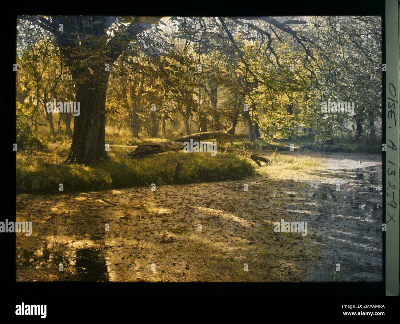 Dives , France , 1917 Devastated regions, Somme, Oise, Aisne