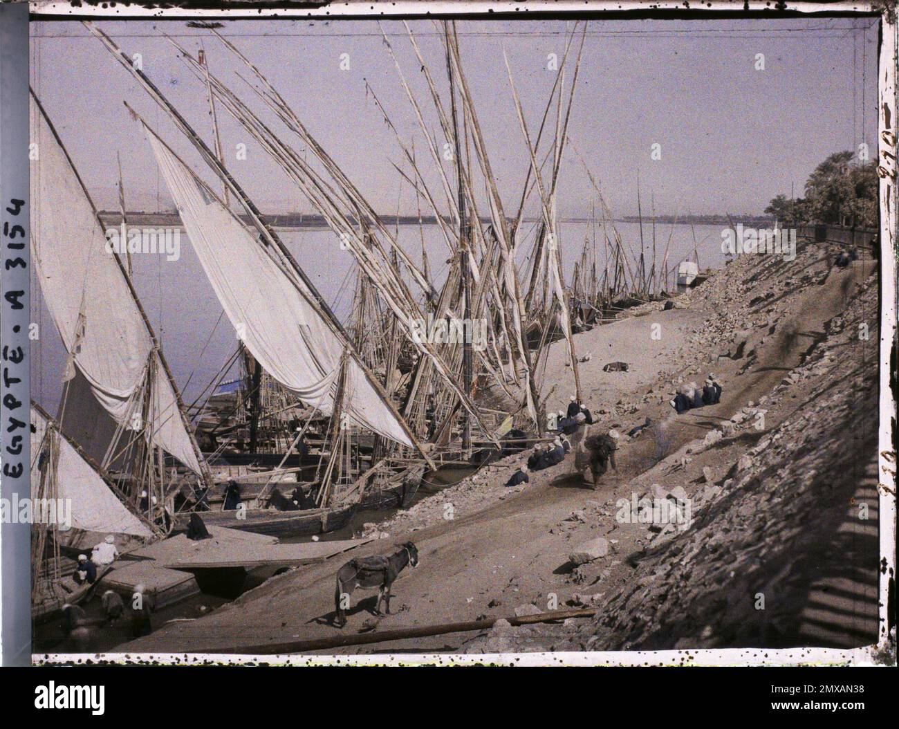 Louqsor, Egypt, Africa Bords du Nile , 1914 - Egypt - Auguste Léon - (January -February) (French - Louqsor , Egypte , Afrique Bords du Nil). Landscape, real animal, costume, exists in Louqsor, Egypt, Africa Bords du Nile , 1914 - Egypt - Auguste Léon - (January -February) (French - Louqsor , Egypte , Afrique Bords du Nil). Landscape, real animal, costume, exists in