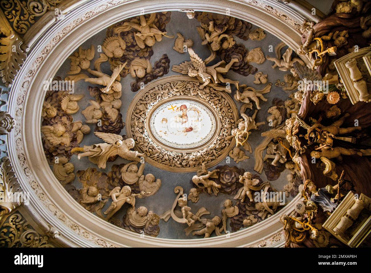 Baroque ceiling of San Domenico, Bitonto, Puglia, Bitonto, Puglia, Italy Stock Photo