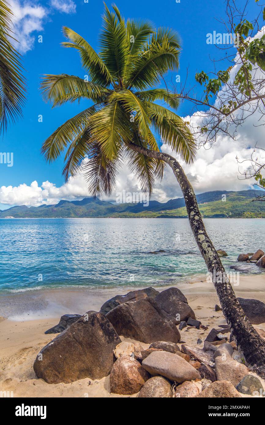 A scenic tropical beach in Baie Lazare on the island of Mahe, Seychelles in the Indian Ocean Stock Photo