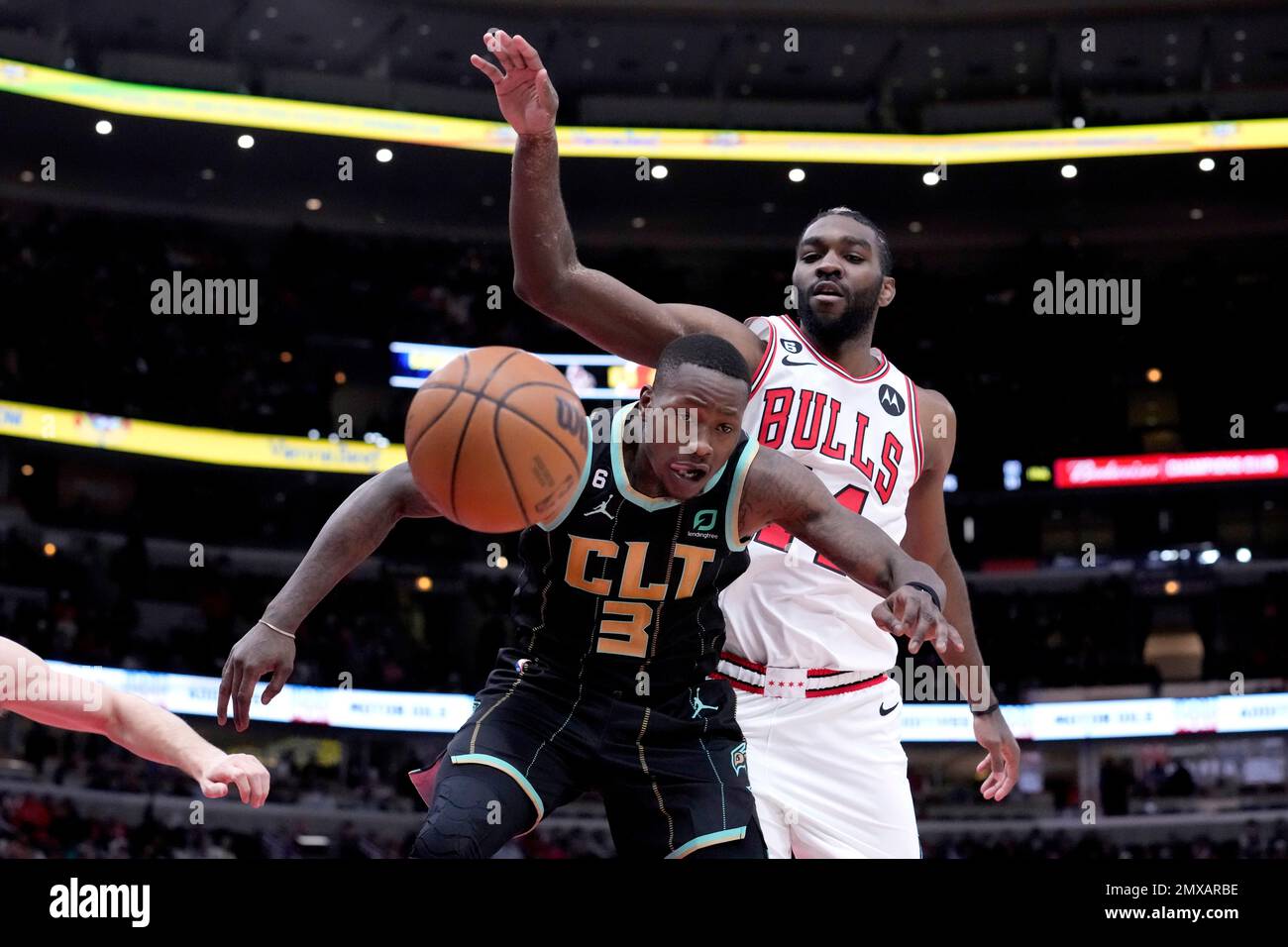 Charlotte Terry Rozier (3) and Chicago Bulls' Patrick Williams watch the ball go out of