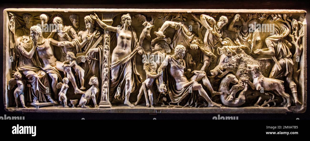 Myth of Adone, sarcophagus, marble, 2nd century A. C. Palazzo Duccale ...