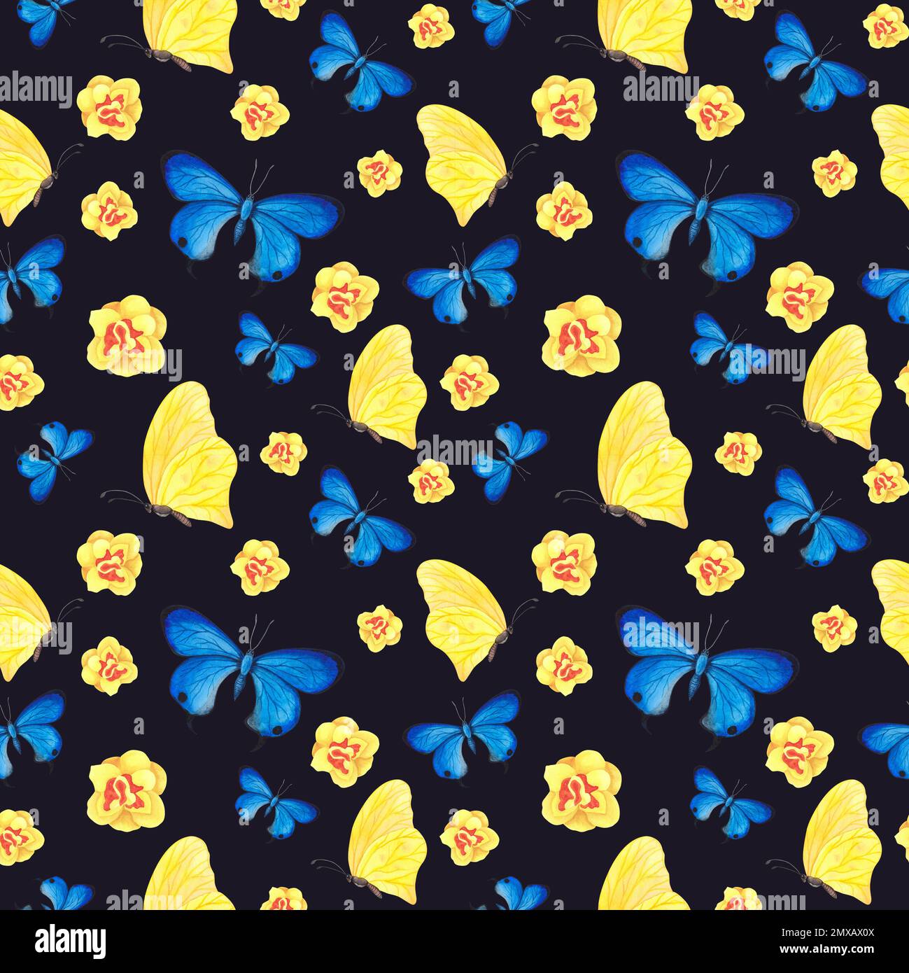 seamless pattern Blue butterfly with daffodils flowers isolated on dark ...