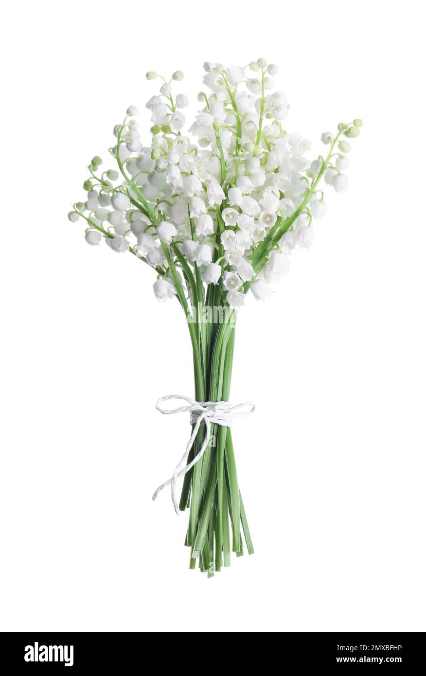 Beautiful lily of the valley flowers isolated on white Stock Photo - Alamy