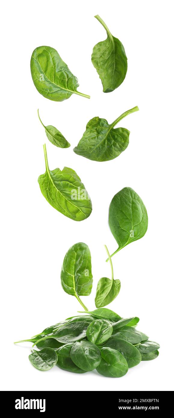 Set with fresh green spinach leaves falling on white background Stock ...