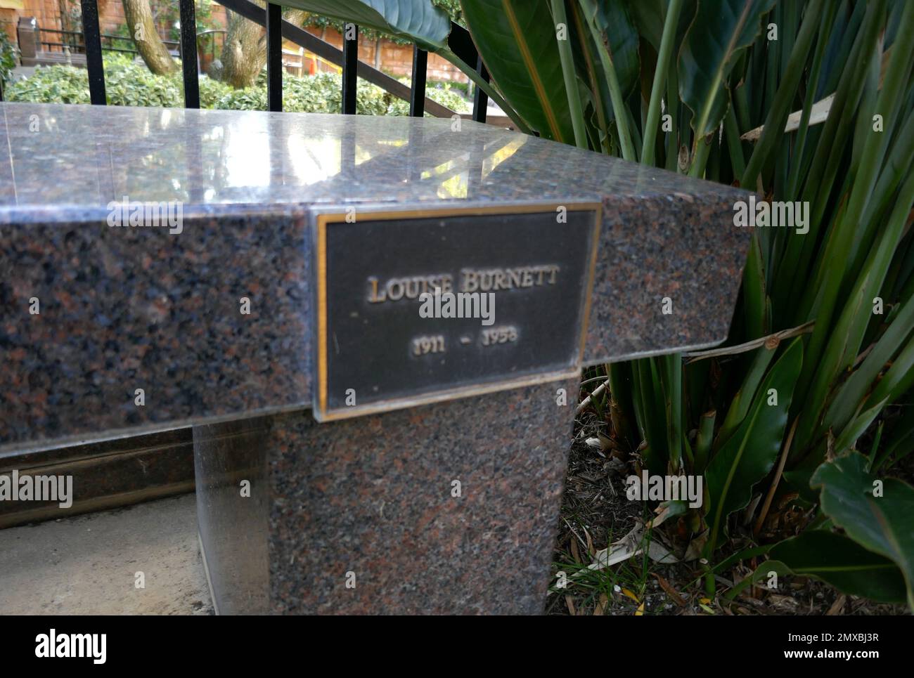 Los Angeles, California, USA 31st January 2023 A general view of atmosphere of Louise Burnett's Grave at Pierce Brothers Westwood Village Memorial Park Cemetery on January 31, 2023 in Los Angeles, California, USA. Photo by Barry King/Alamy Stock Photo Stock Photo