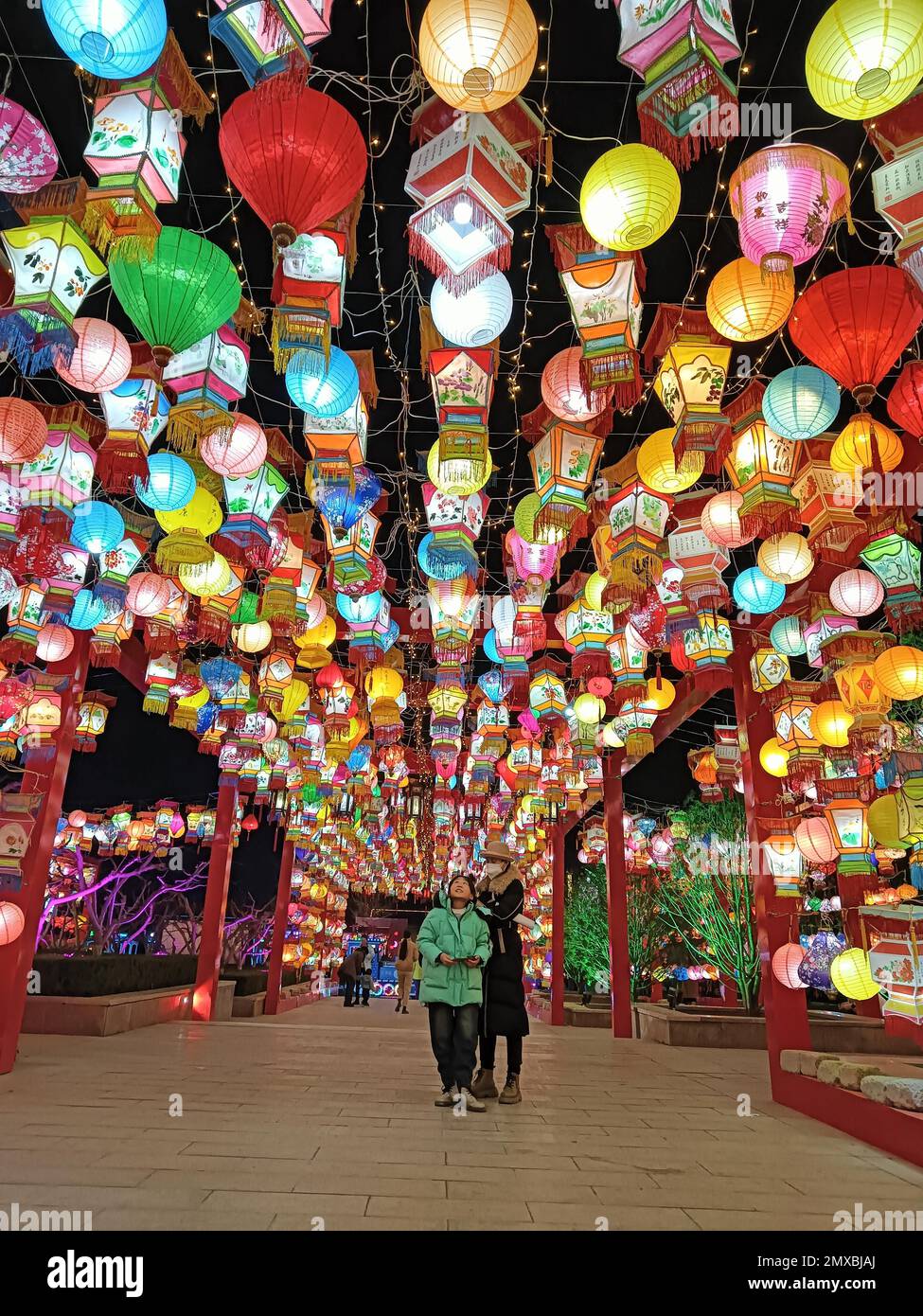 Festive lanterns create the Lantern Festival vibes in Tianyi Park