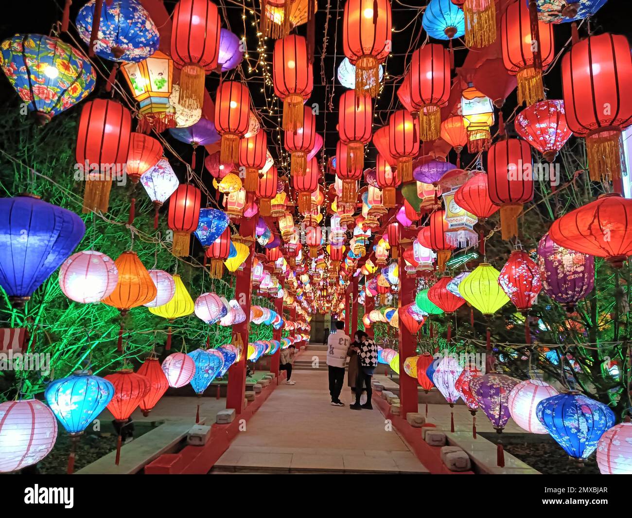 Festive lanterns create the Lantern Festival vibes in Tianyi Park
