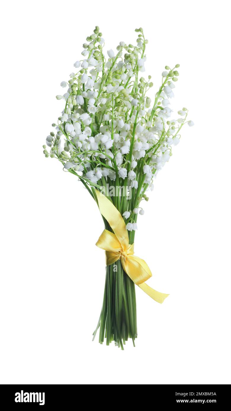 Beautiful lily of the valley flowers isolated on white Stock Photo - Alamy
