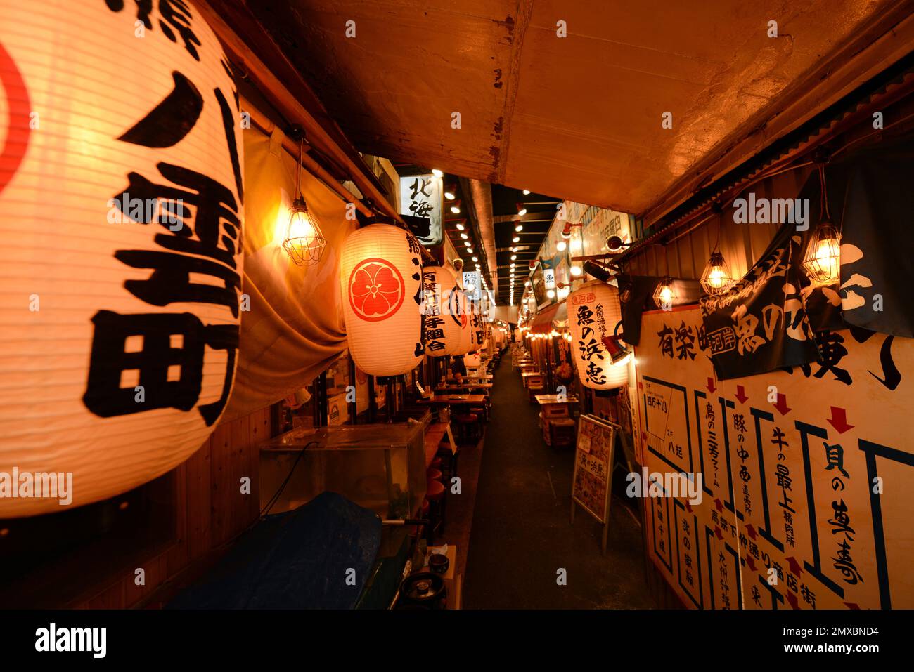 Bars and Izakayas under the JR elevated tracks between the Yurakucho and Shimbashi JR lines stations in Tokyo. Stock Photo