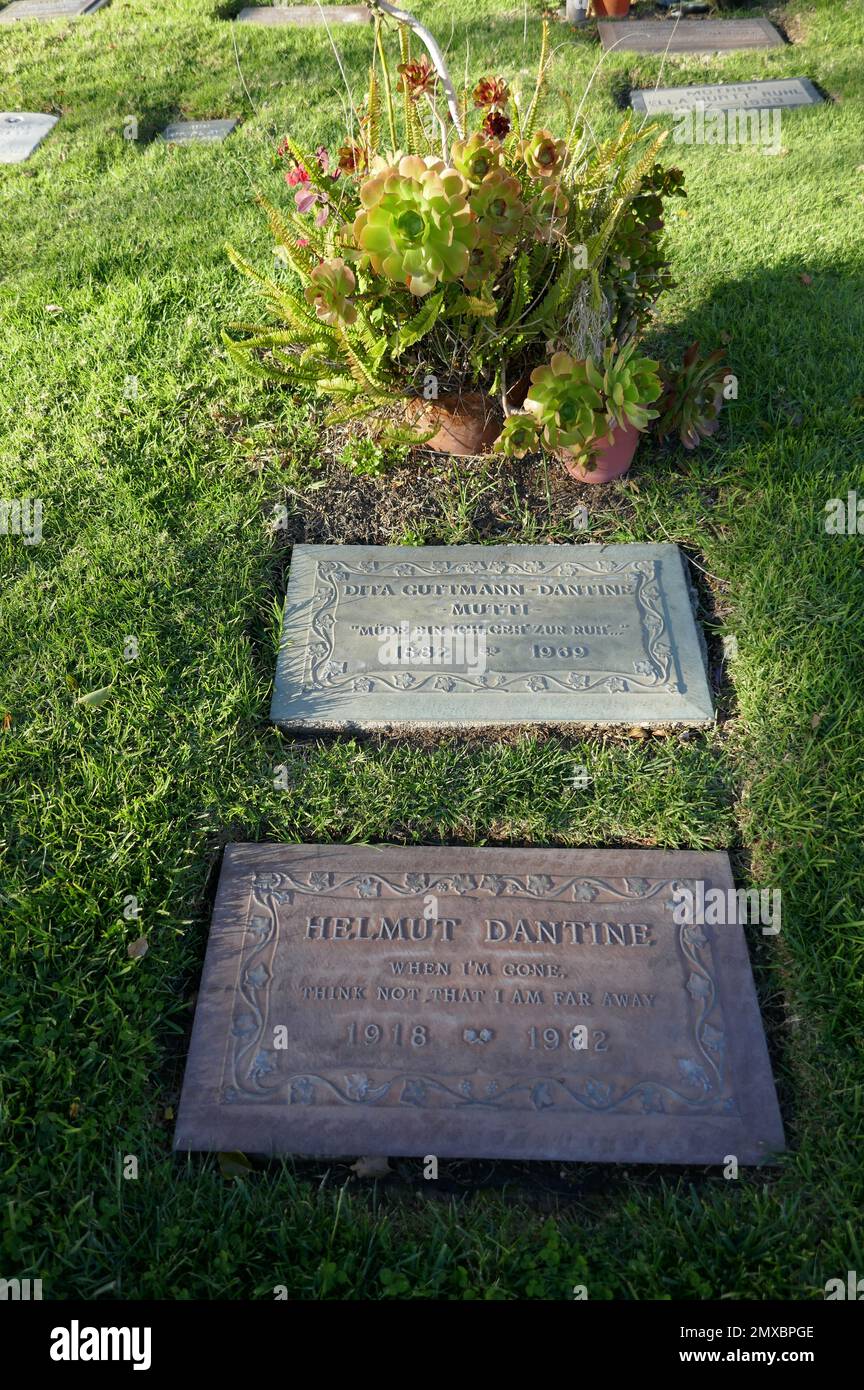 Los Angeles, California, USA 31st January 2023 A general view of atmosphere of Actor Helmut Dantine's Grave at Pierce Brothers Westwood Village Memorial Park Cemetery on January 31, 2023 in Los Angeles, California, USA. Photo by Barry King/Alamy Stock Photo Stock Photo