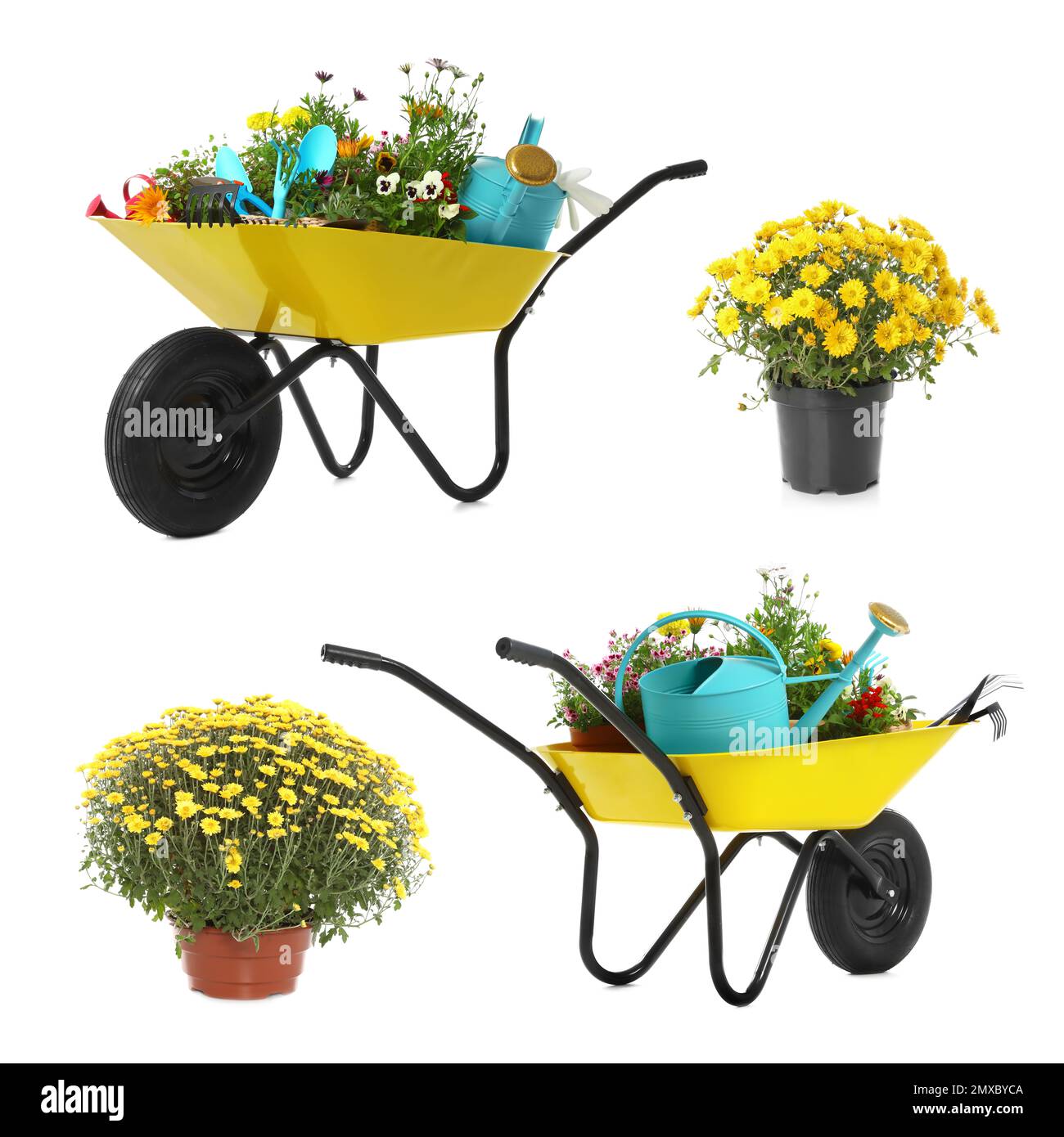 Set with different gardening tools, wheelbarrows and plants on white ...