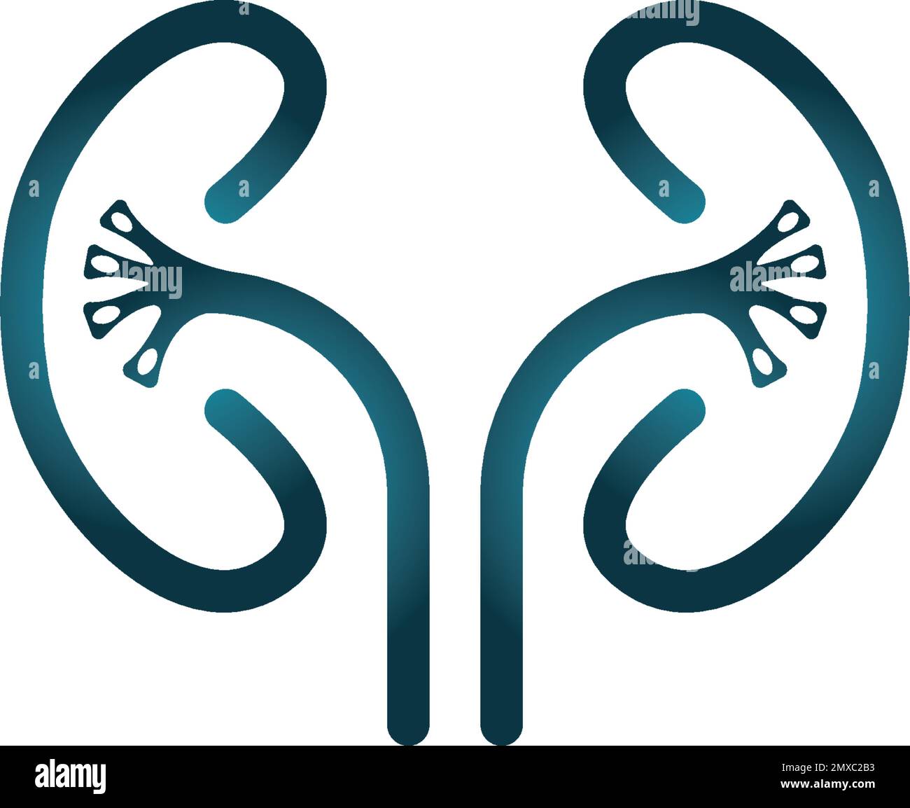 Kidney icon vector. Urology logo design template. Stock Vector