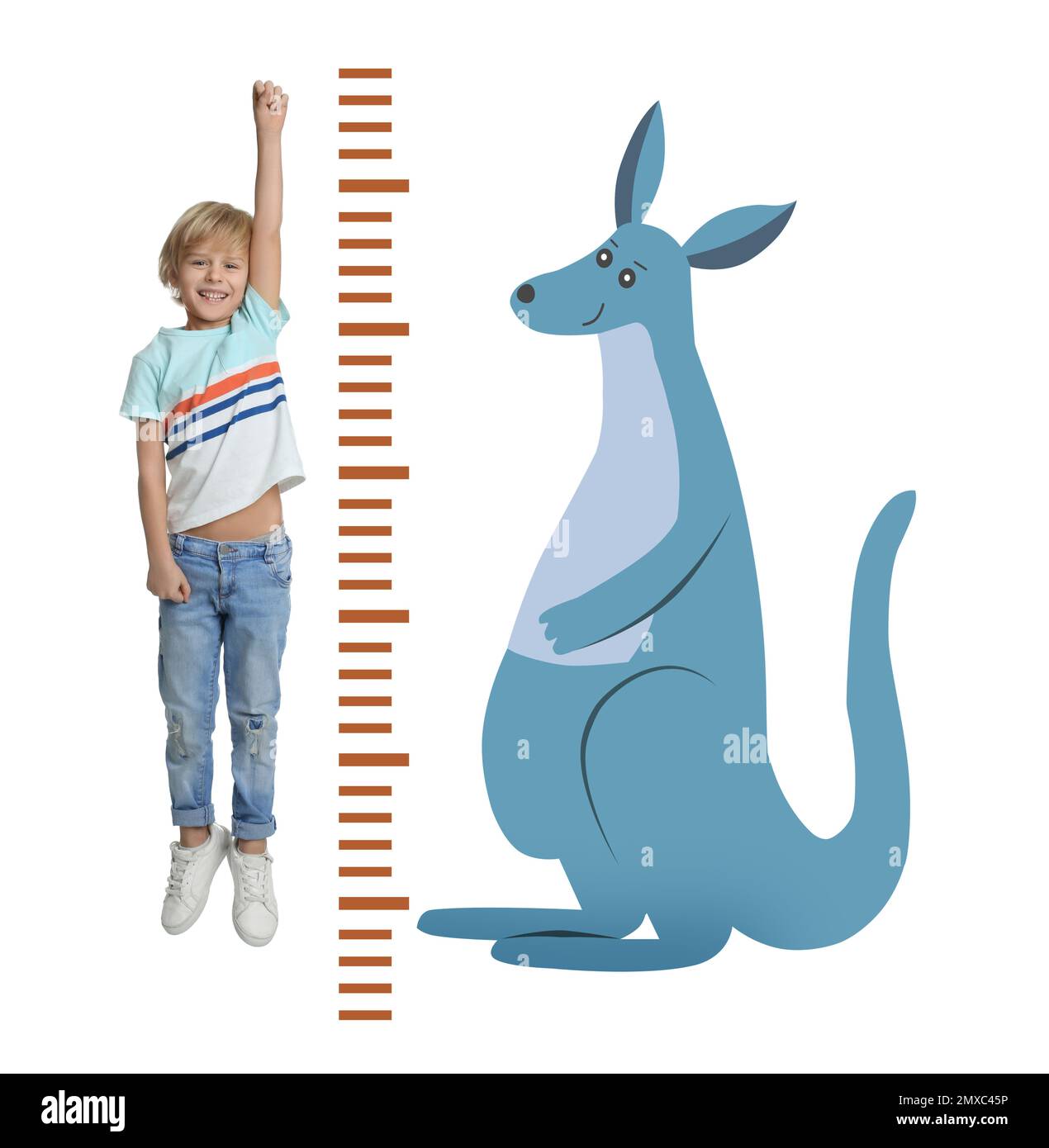 Little boy measuring height and drawing of kangaroo on white background Stock Photo