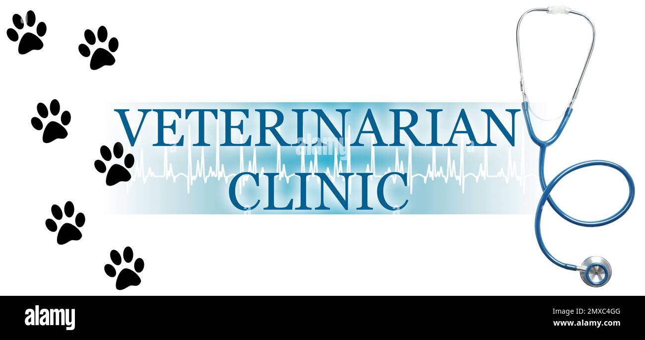 Text VETERINARIAN CLINIC, stethoscope and pugmarks illustration on white background. Banner design Stock Photo