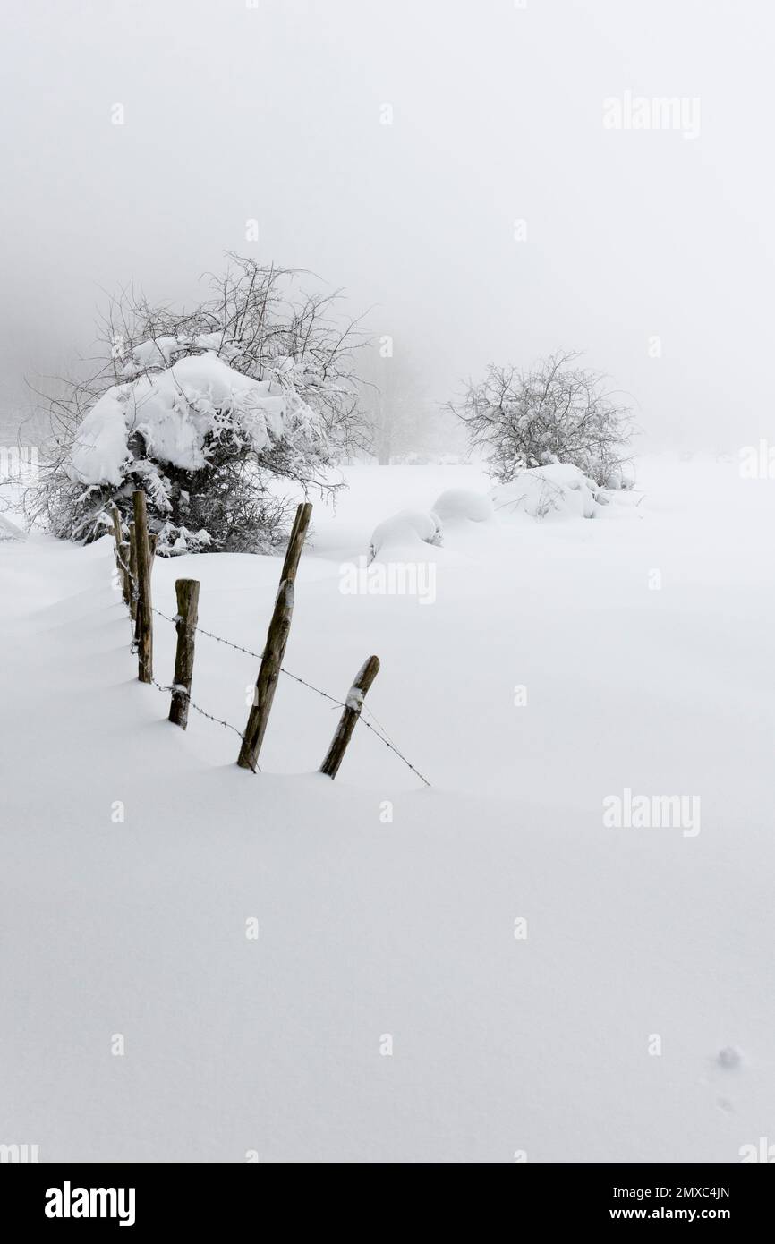 Snowy Landscape, winter landscape with bushes and an old fence, Campania, Italy Stock Photo
